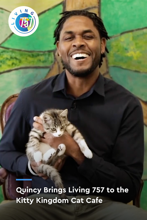 Quincy Visits the Kitty Kingdom Cat Cafe | Living 757