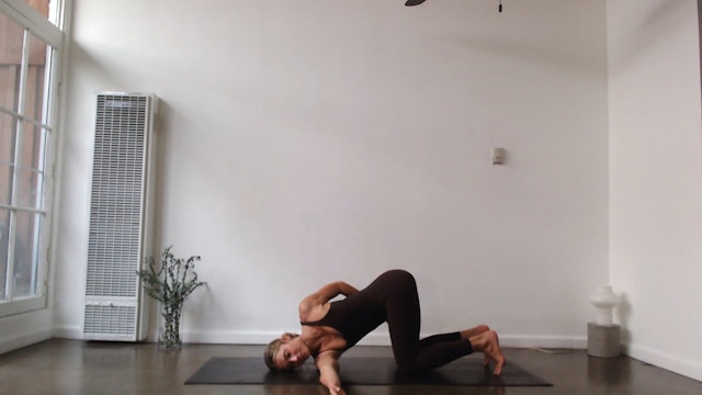 45 Min Yogaworks Level 1-2 w/ Ashley – Breathe and Notice 01/27/2024