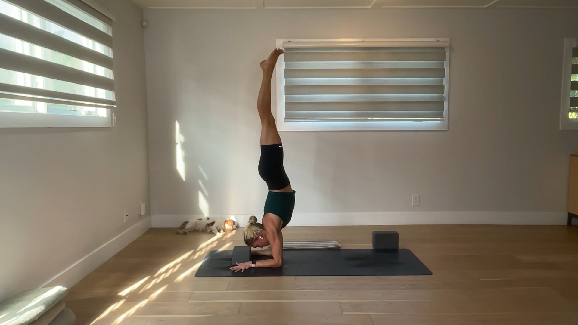 60 min YogaWorks 2 w/ Maya - 6/9/25