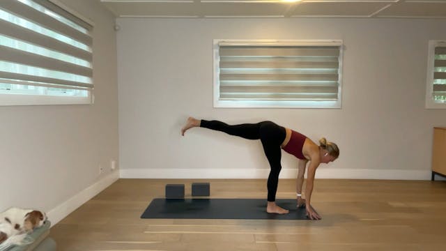 45 min YogaWorks All Levels w/ Maya -...