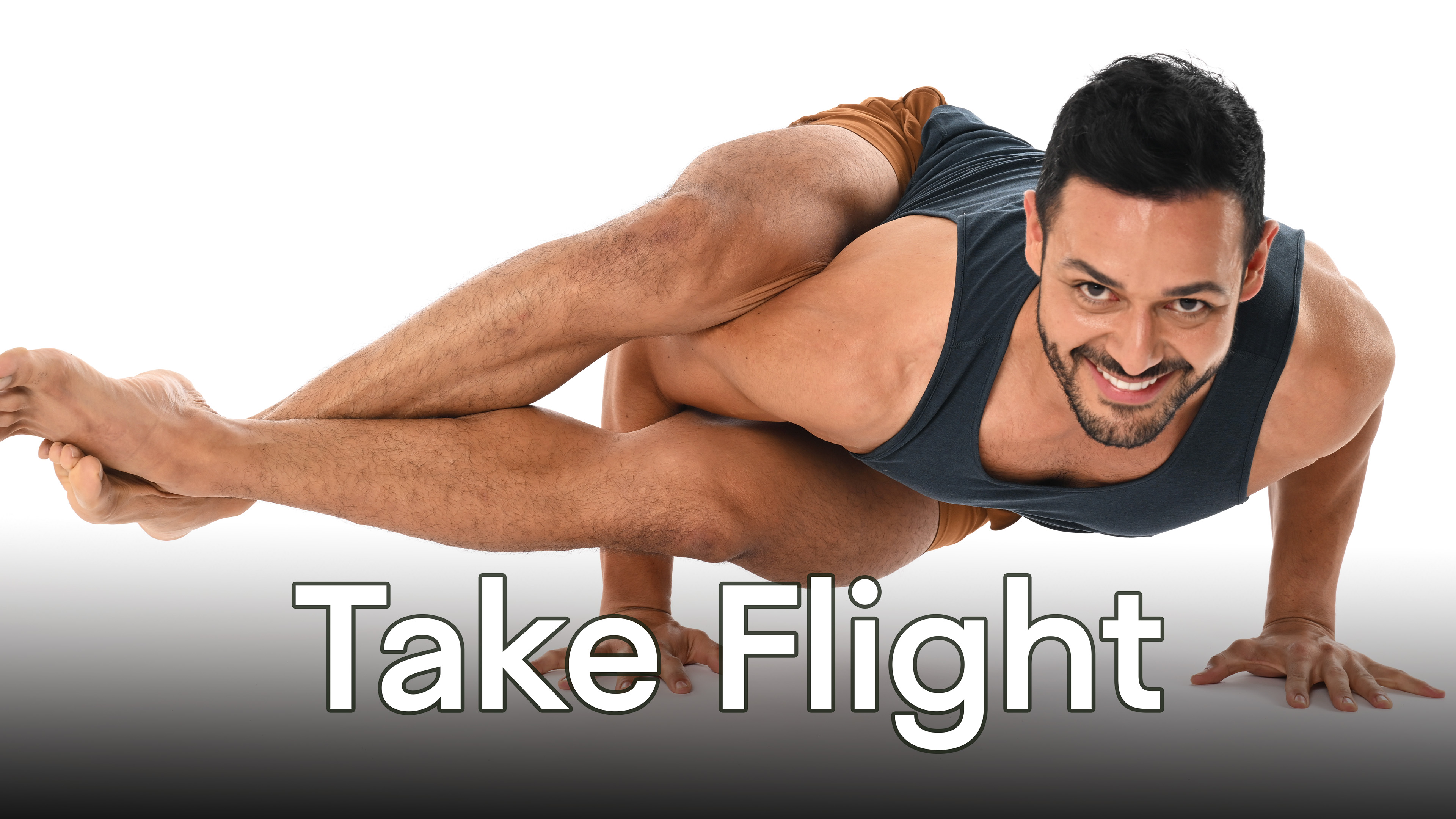 Take Flight: Arm Balances & Inversions