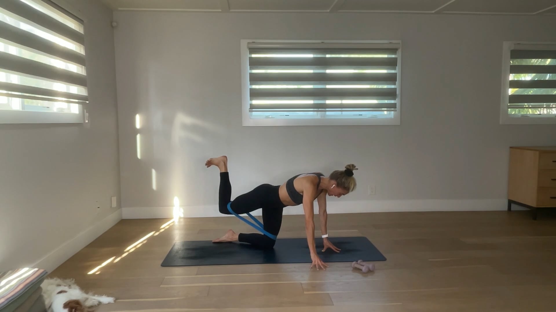 30 min Barre Tone w/ Maya - 7/31/25