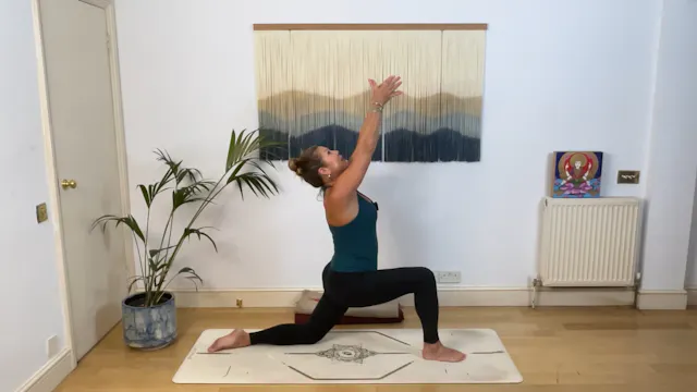 Root and Rise