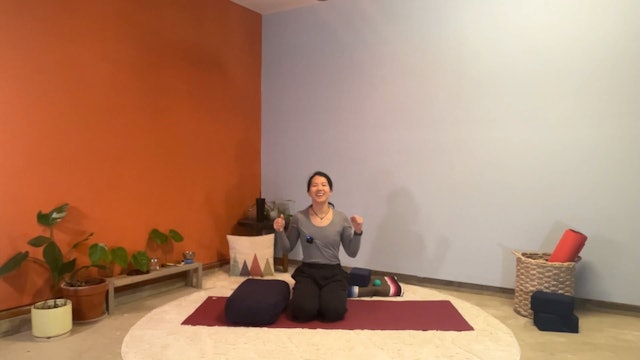 60 min Therapeutic Yoga w/ Elena - Heart Opening 2/15/24
