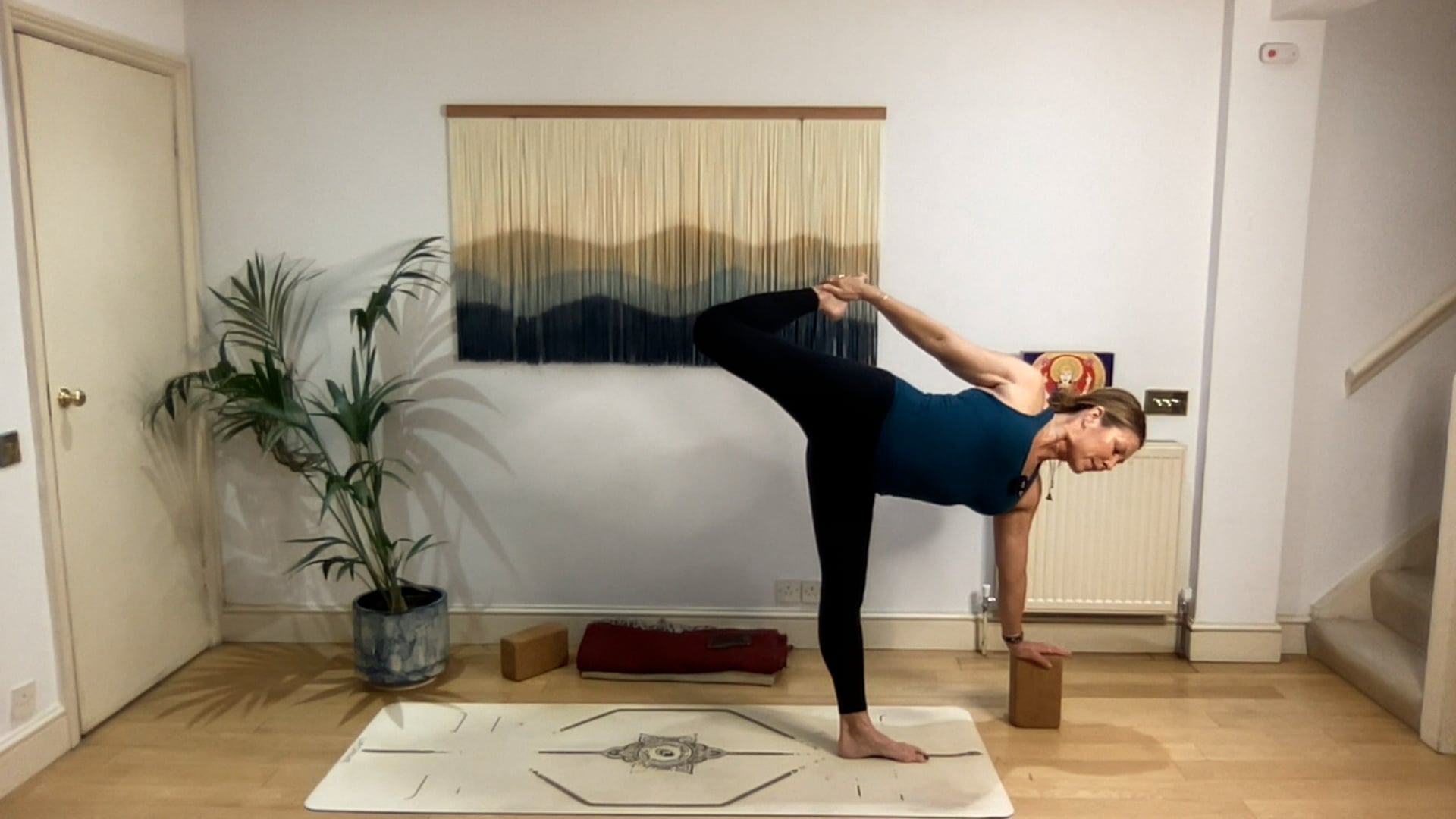 75 min Ride The Waves Vinyasa Level 2/3: Mia