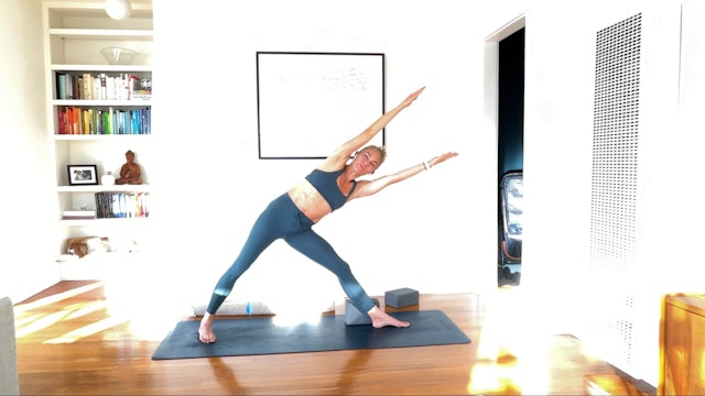 60 min YogaWorks 2 w/ Maya - Stabilit...