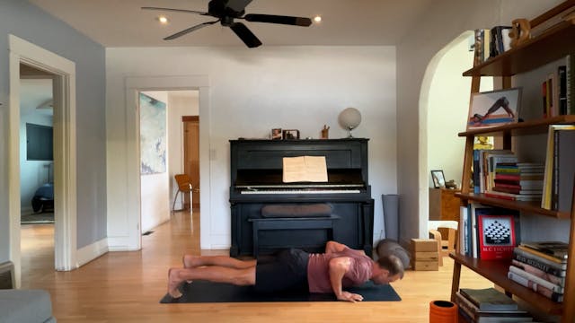 30 min All Levels Vinyasa w/ Vytas - ...