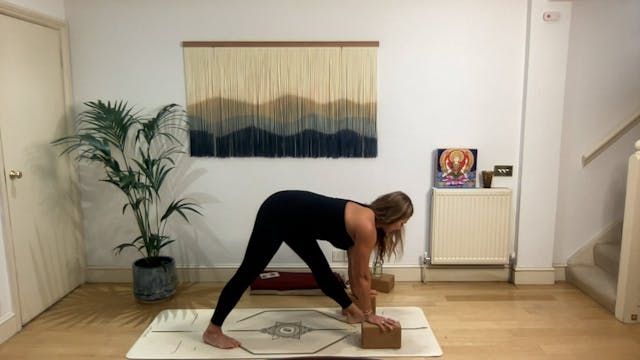 60 min Vinyasa Flow level 2/3 w/ Mia ...
