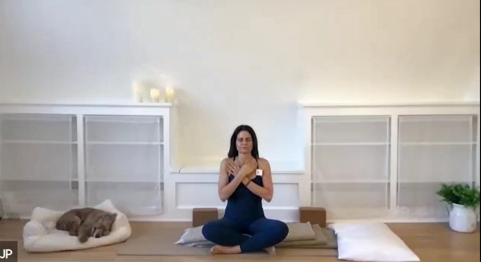 20 min Vagus Nerve Nurturing w/ Jillian Pransky