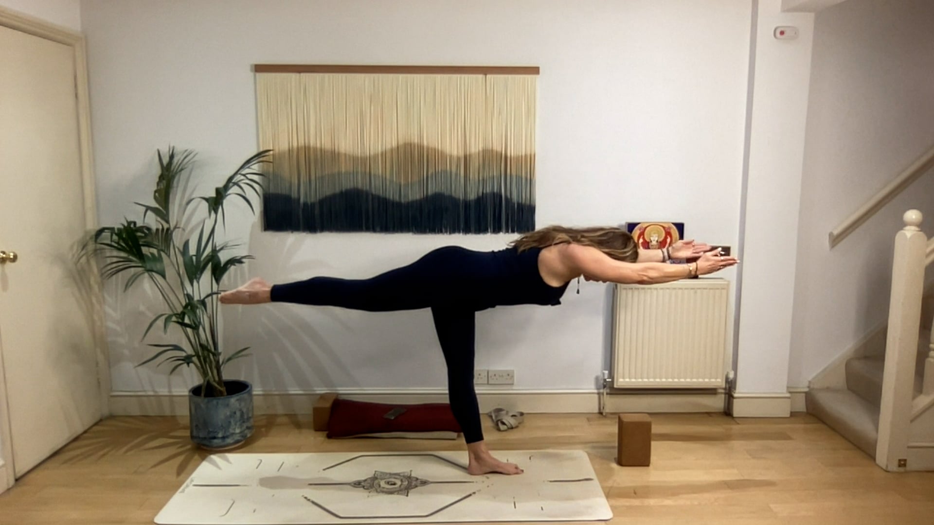 75 min Head and the Heart Vinyasa Level 2/3: Mia