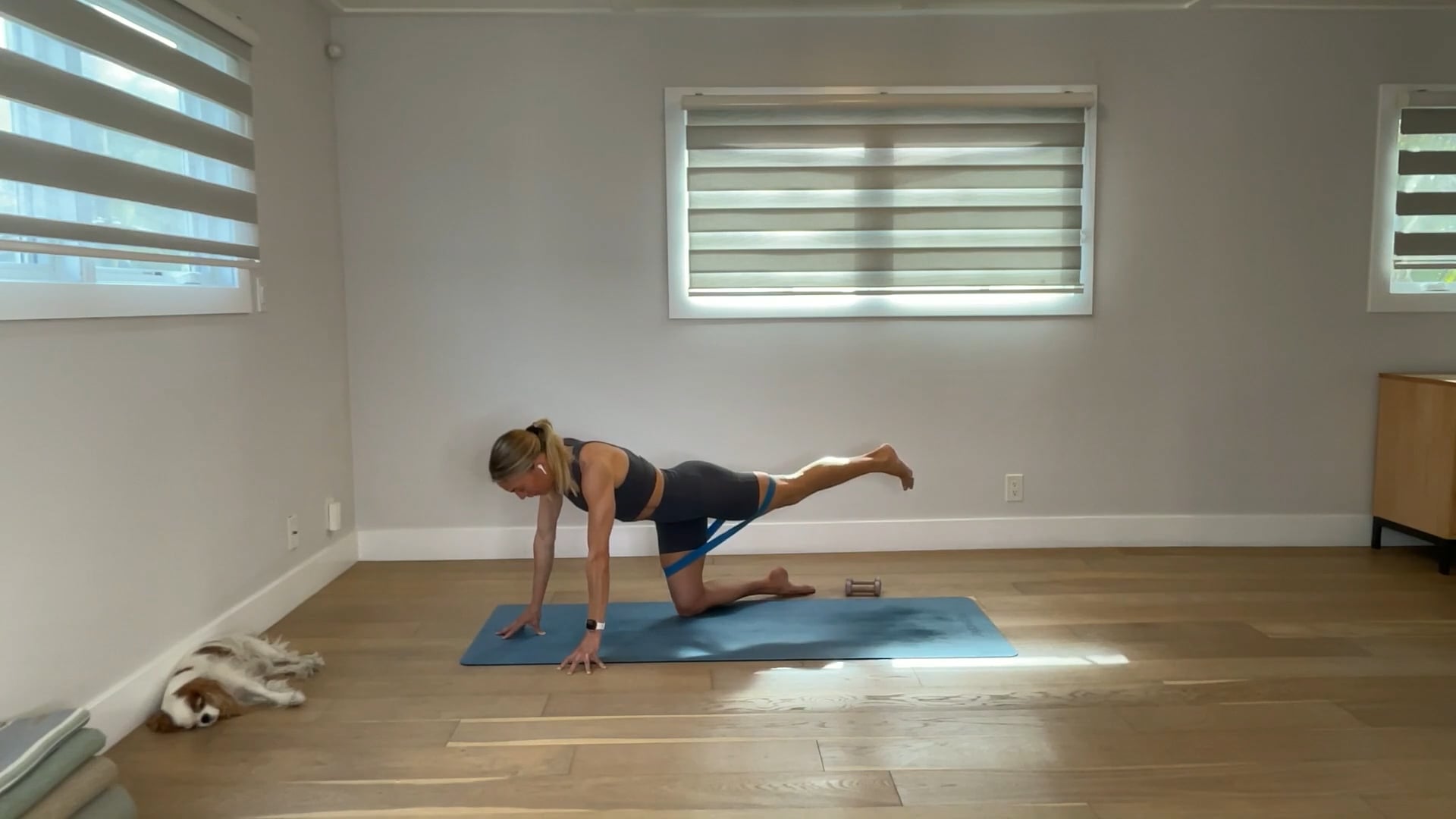 30 min Barre Tone: Maya
