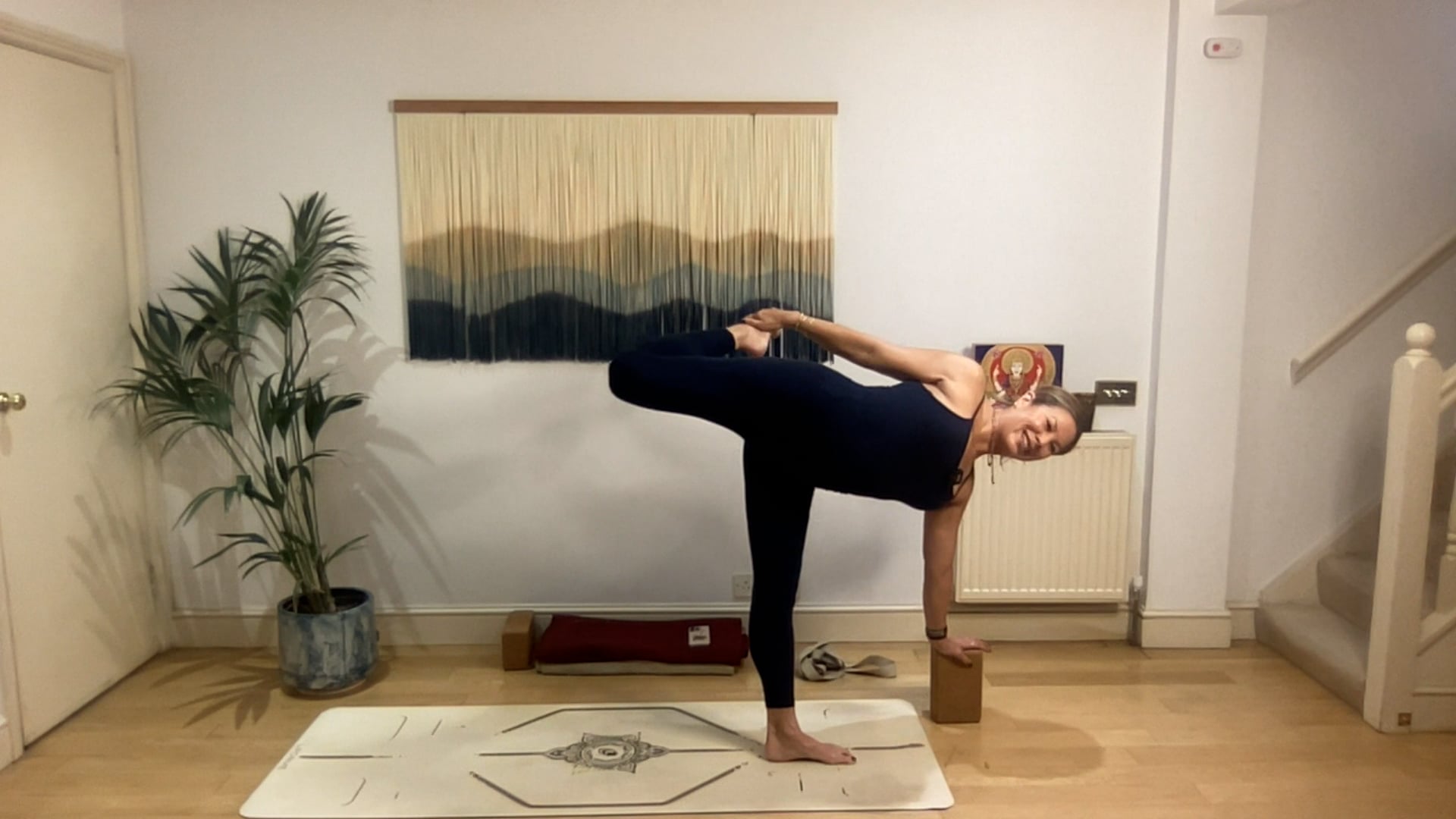 75 min Vinyasa Flow Level 2/3 -  Align with Ahimsa: Mia