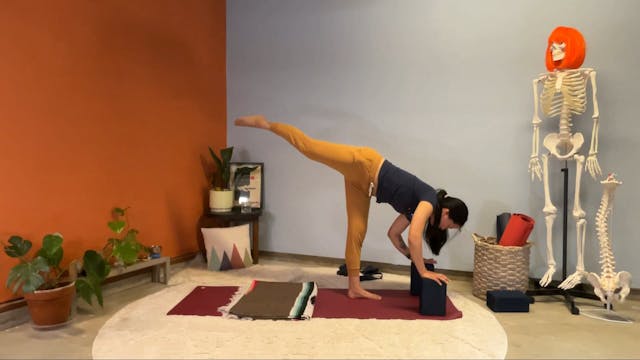 45 min Hatha Yoga 1-2 w/ Elena - Hams...