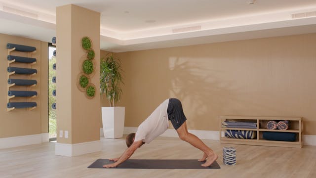 Adho Mukha Svanasana