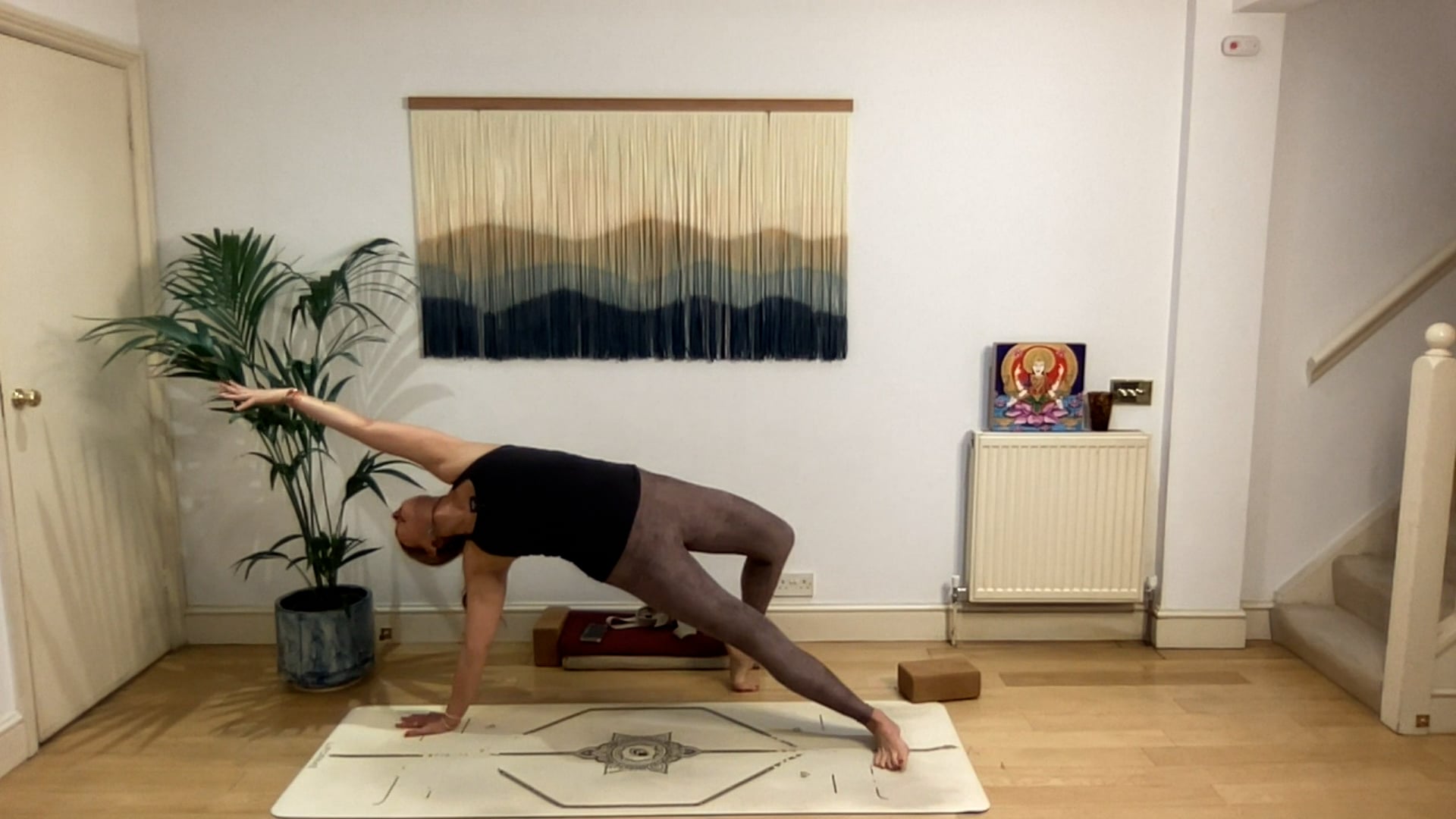 75 min Vinyasa Flow level 2/3 w/ Mia - Rock The Boat - 5/1/2025