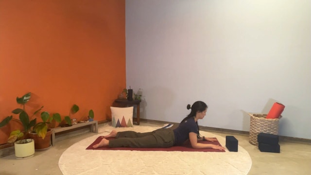 45 min Hatha Yoga 1 w/ Elena – Spine and Core 1/29/24
