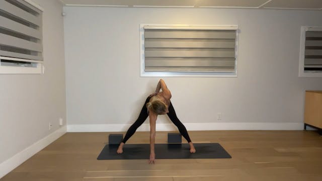 60 min YogaWorks 2 w/ Maya - 11/20/24