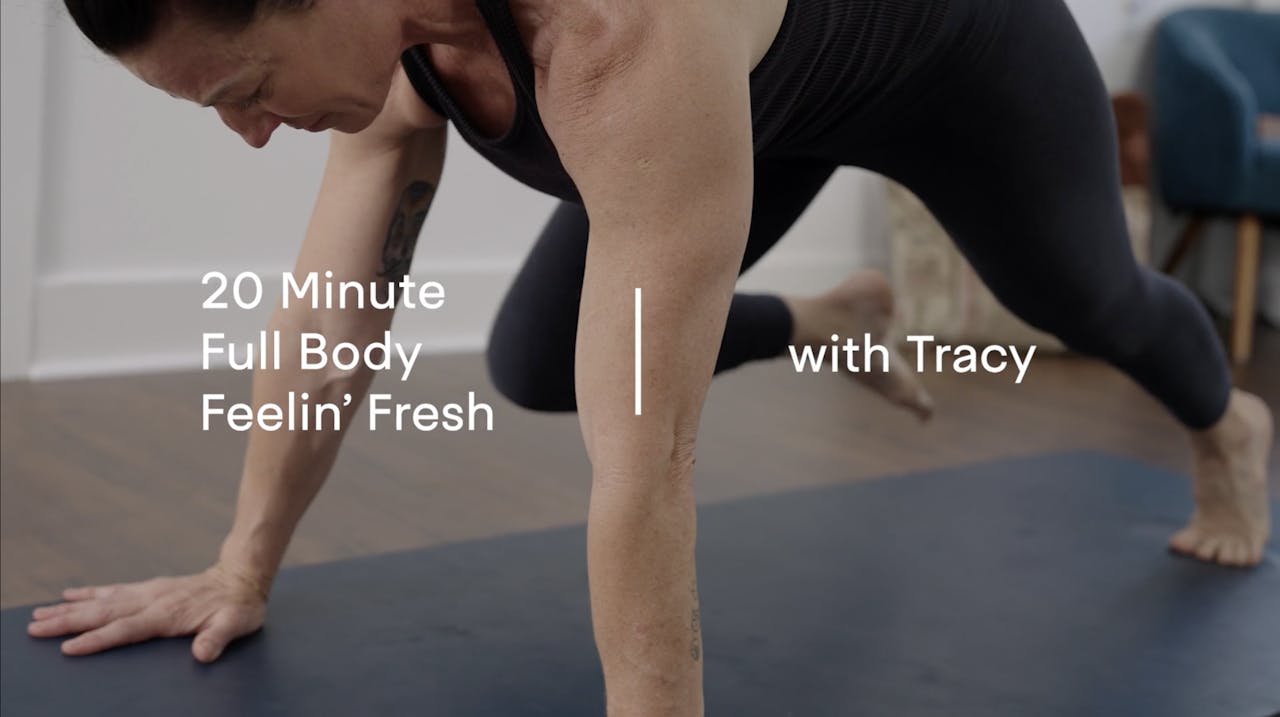 20 min BodyWorks W/ Tracy Full Body Feelin' Fresh Wrensmoor YogaWorks