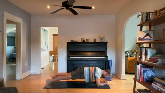 30 min All Levels Vinyasa w/ Vytas - ...