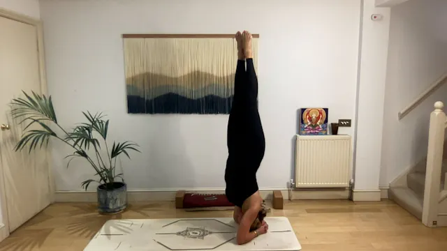 75 min Immovable Center Vinyasa Level...