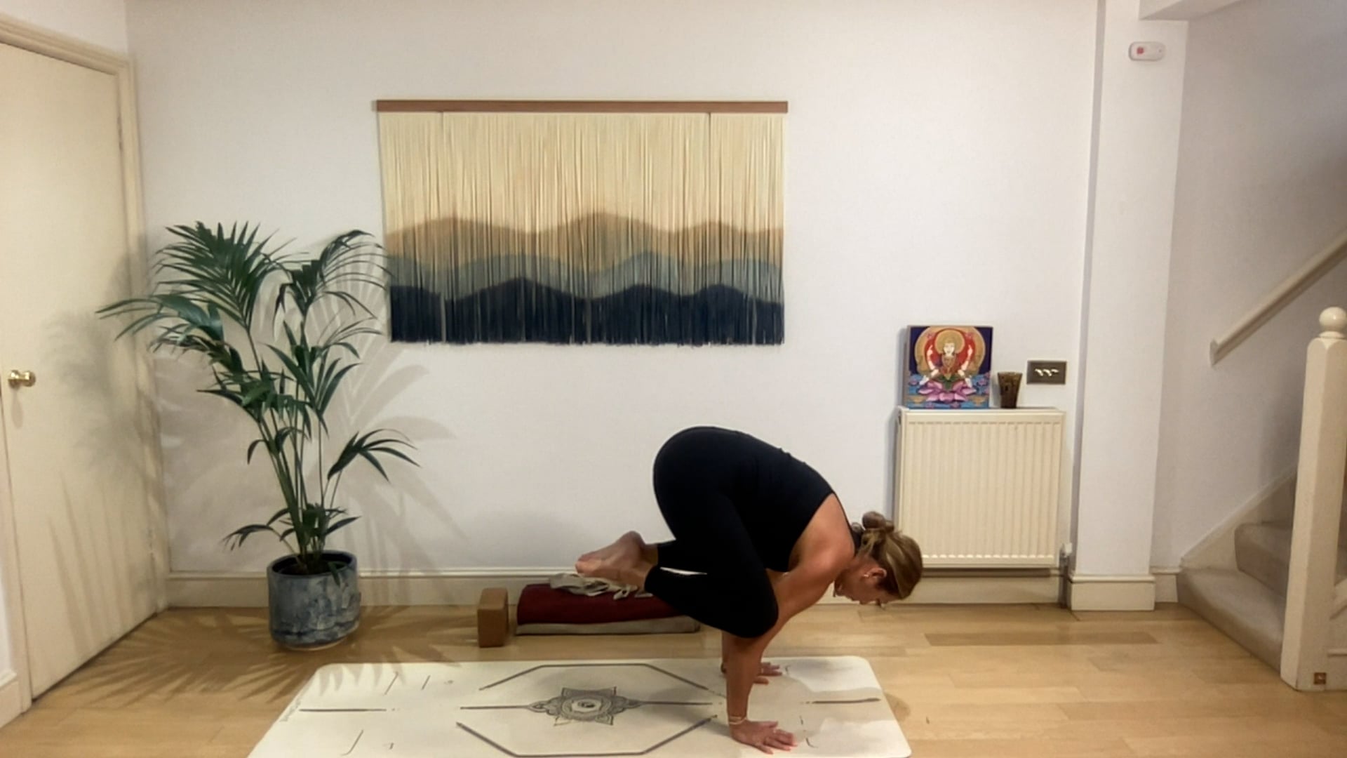 75 min Vinyasa Flow level 2/3 w/ Mia - Wings Of Truth - 7/19/2025