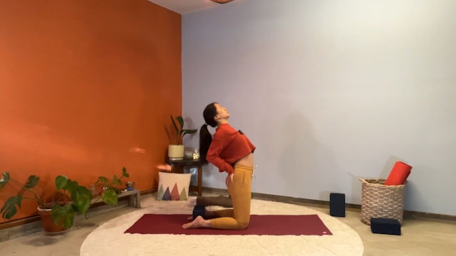 45 min Hatha Yoga 1-2 w/ Elena – Spine Stuff 12/8/23