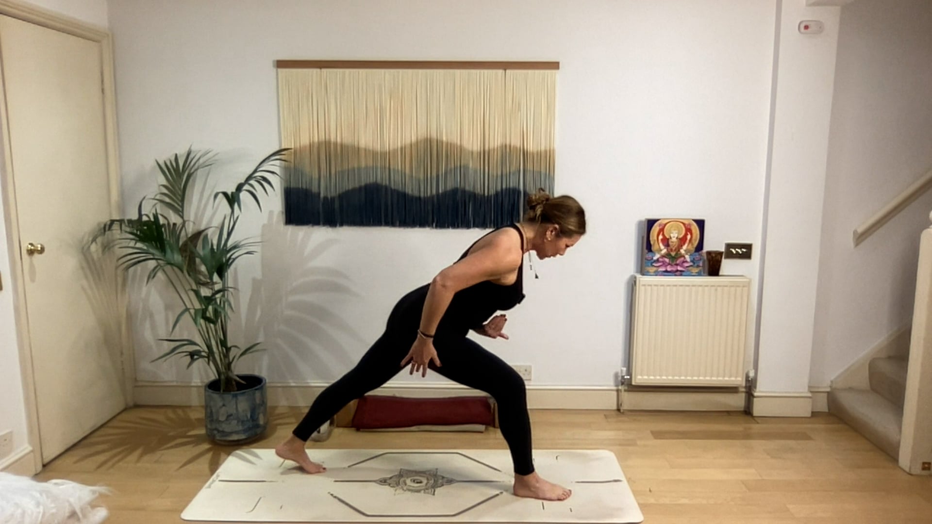 60 min Energy Adjustment Vinyasa Level 2/3: Mia