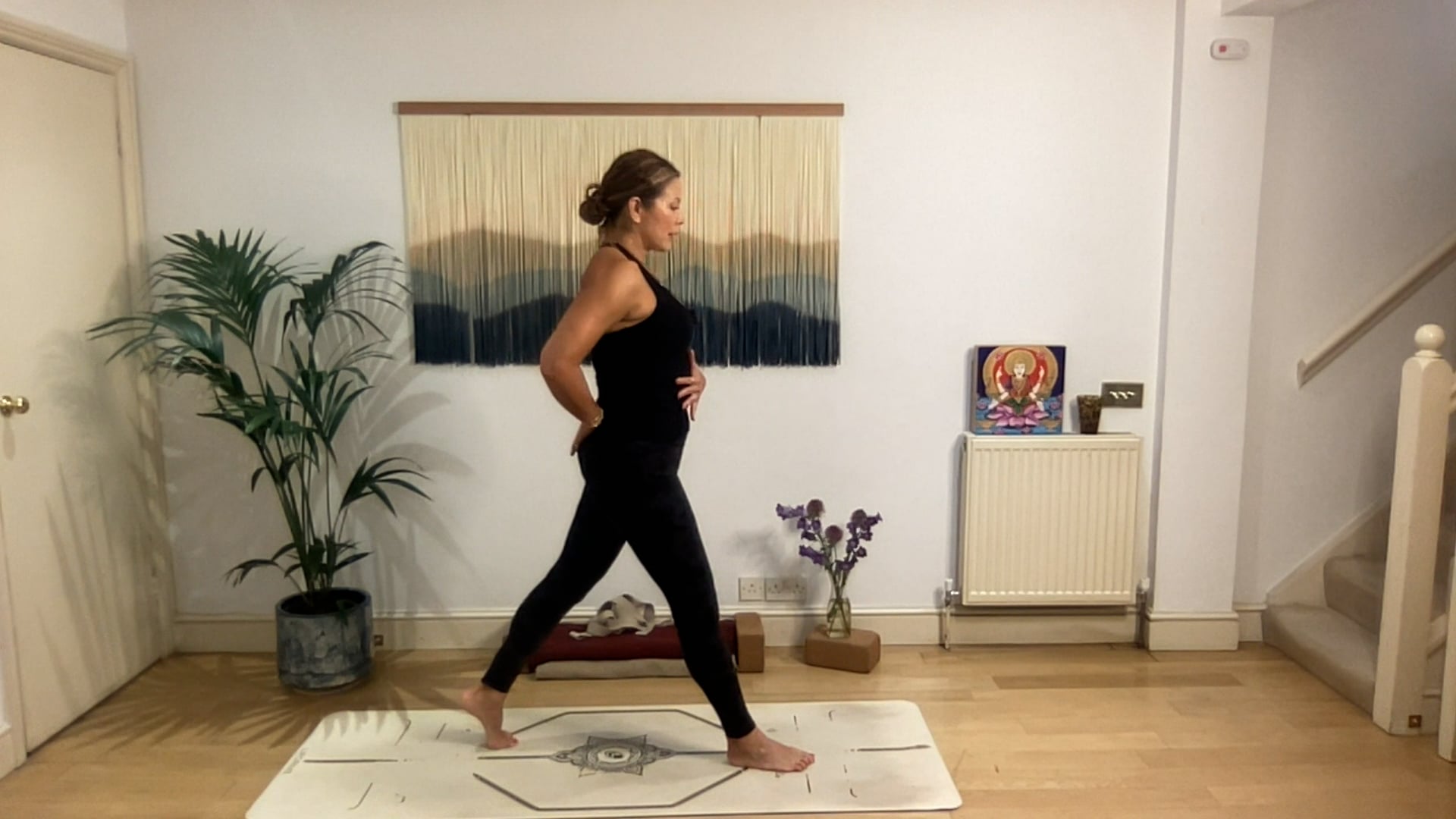 75 min Vinyasa Flow level 2/3 w/ Mia - Crossing The Bridge - 7/29/2025