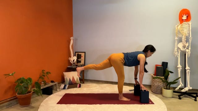 40 min Hatha Yoga 1/2 w/ Elena - Bala...
