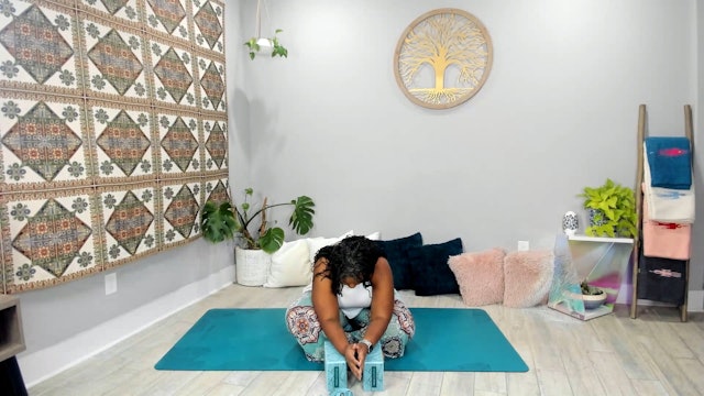 60 min. Yin Yoga w/ Tamika – Let go of Fixing 5/1/24