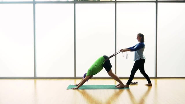 10 minute Hands-on Adjustments - Adho...