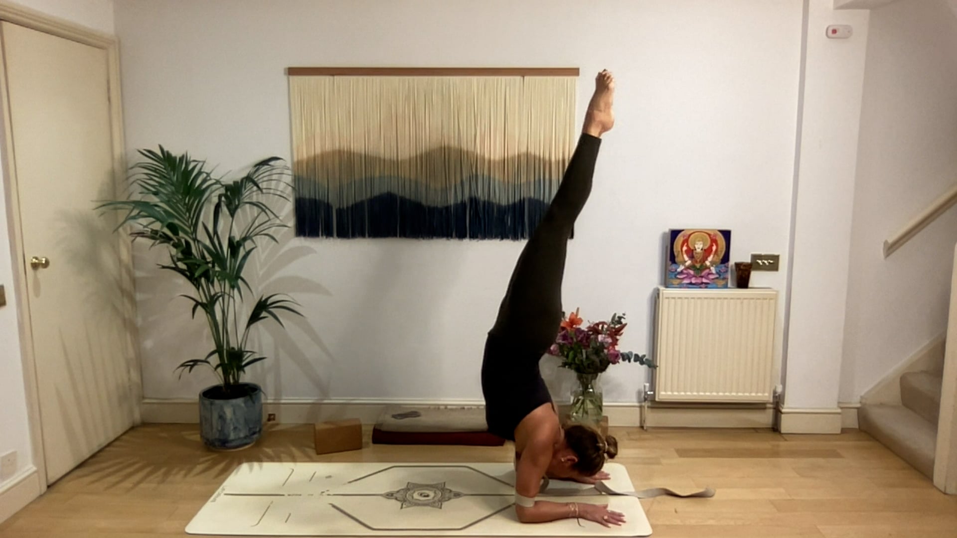 75 min Vinyasa Flow level 2/3 w/ Mia - Reset Your Rhythm - 1/26/2025