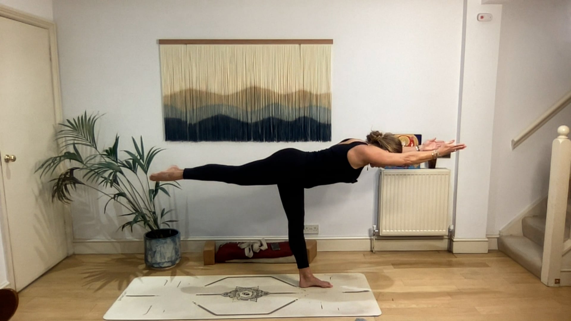 75 min Space To Breathe and Be Vinyasa Level 2/3: Mia