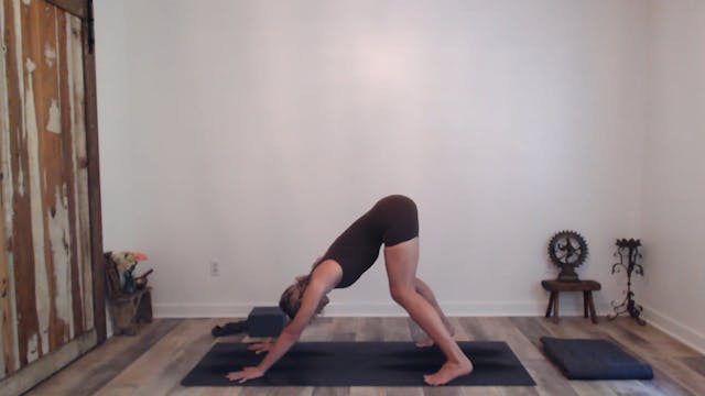 45 min Yogaworks 1-2 w/ Ashley Tree F...