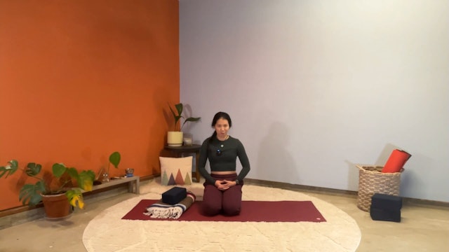 45 min Hatha Yoga 1-2 w/ Elena - Side Strength 1/19/24