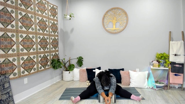 75 min. Yin & Restorative Yoga w/ Tamika - Grounding, Rest & Low Back Love 1/28/24