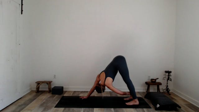 60 min Vinyasa Flow / Ashley- Holiday...