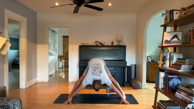 30 min All Levels Vinyasa w/ Vytas - ...