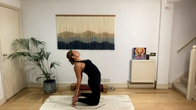 60 min Spring Clearing Vinyasa Level ...