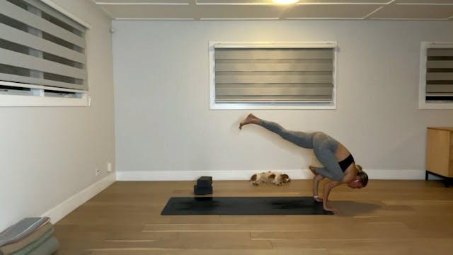 60 min Vinyasa Flow 2-3 w/ Maya - 12/...