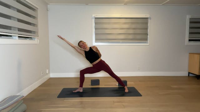 60 min Vinyasa Flow 2-3 w/ Maya - 1/9/25