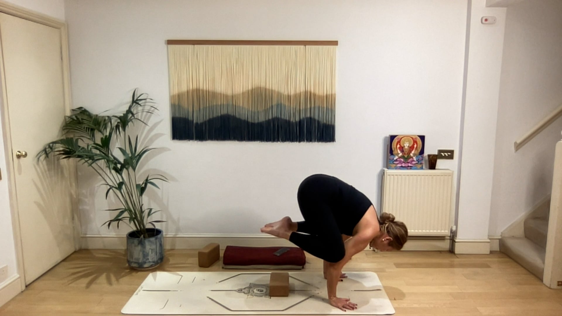 75 min Vinyasa Flow level 2/3 w/ Mia - Learning to Fly - 10/14/2025