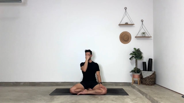 10 min Pause & Breathe Day 2  w/ Gustavo - Nadi Shodhana | Alternate Nostril