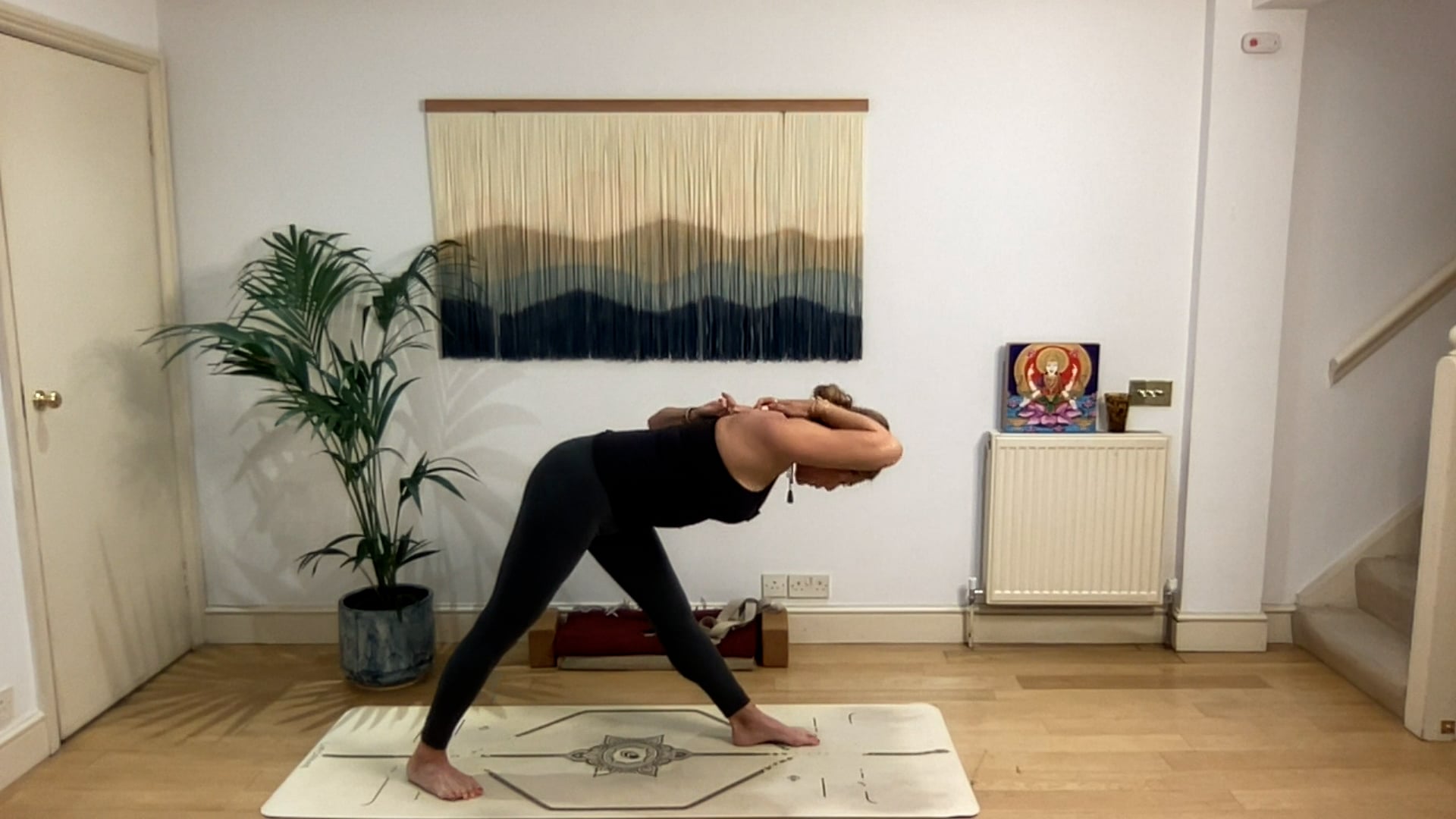 75 min Vinyasa Flow level 2/3 w/ Mia - Quiet Courage - 4/17/2025