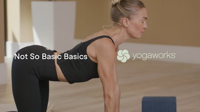15 min Not So Basic Basics w/ Maya