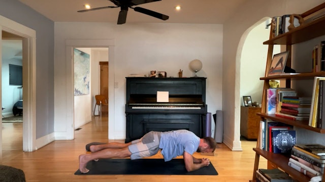 30 min All Levels Vinyasa w/ Vytas – Some Flow, Some Plank, Some Ease 5/17/24