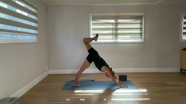 45 min YogaWorks All Levels: Maya