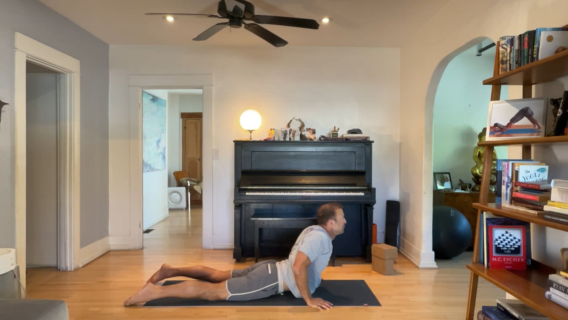 45 min Vinyasa - Level 2 : Vytas