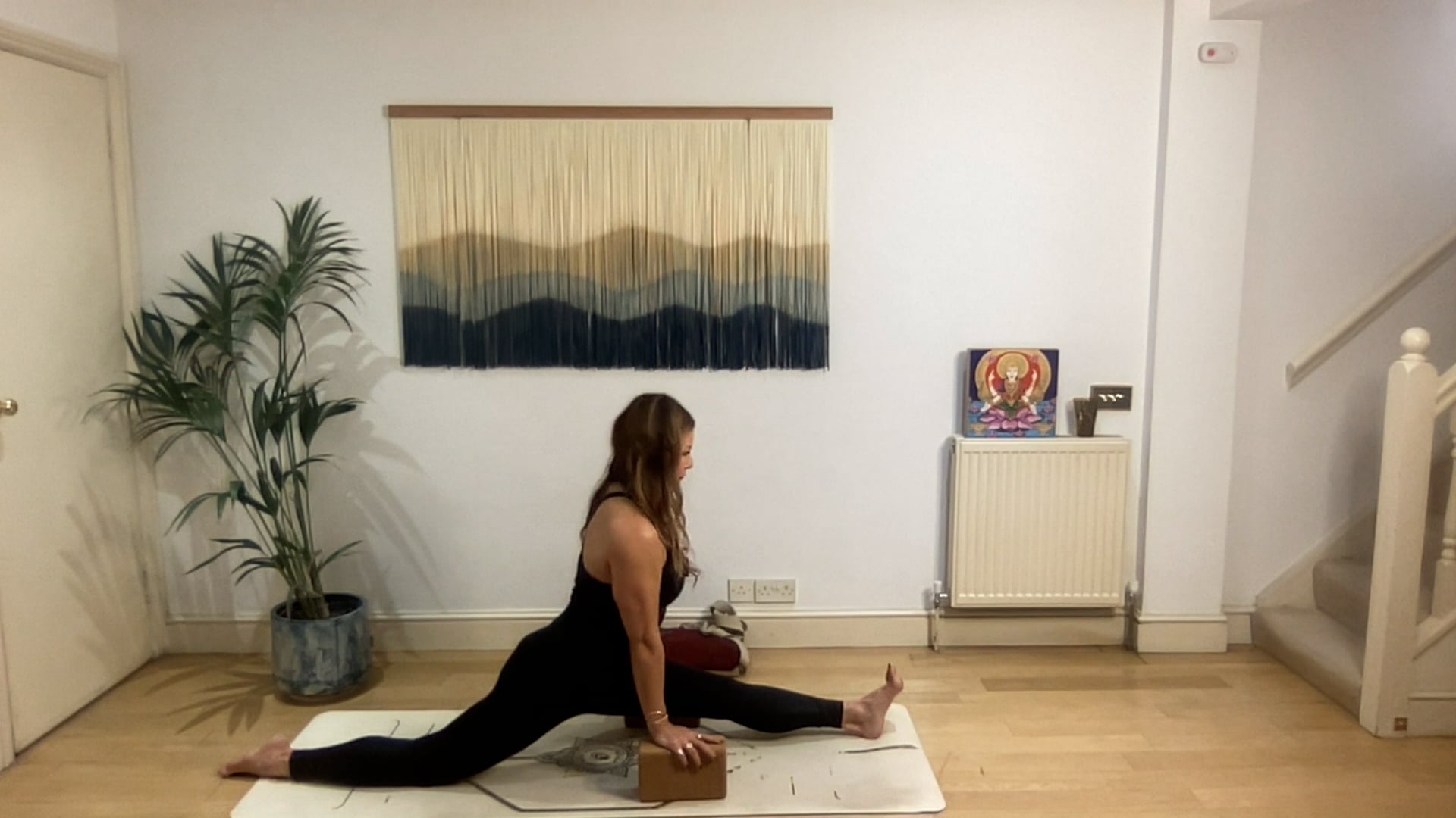 75 min Splits & Santosha Vinyasa Level 2/3: Mia