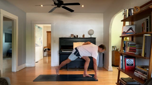 30 min All Levels Vinyasa w/ Vytas - ...